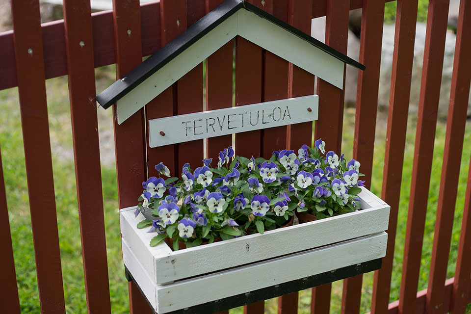 Aistipuutarha puutarhanhoito