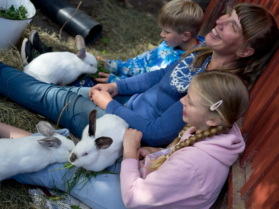 Elainavusteinen nepsy valmennus kanit