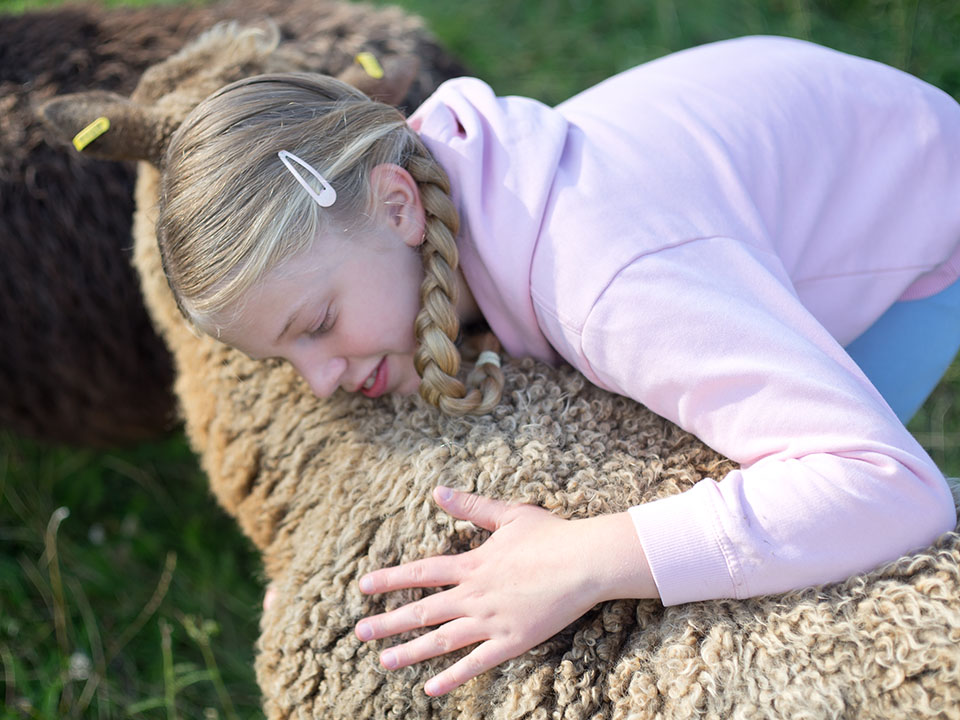 Katteluksen tila arvot