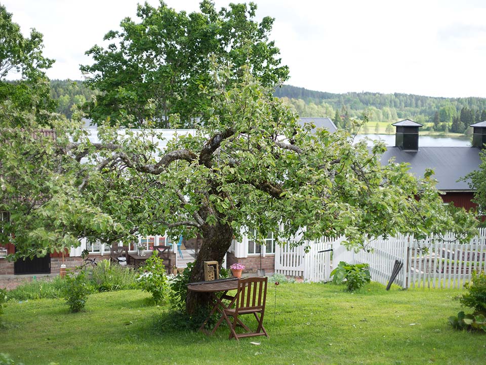 Katteluksentila puutarhatoiminta