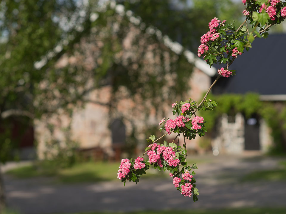 Puutarhatoiminta kuvia 4