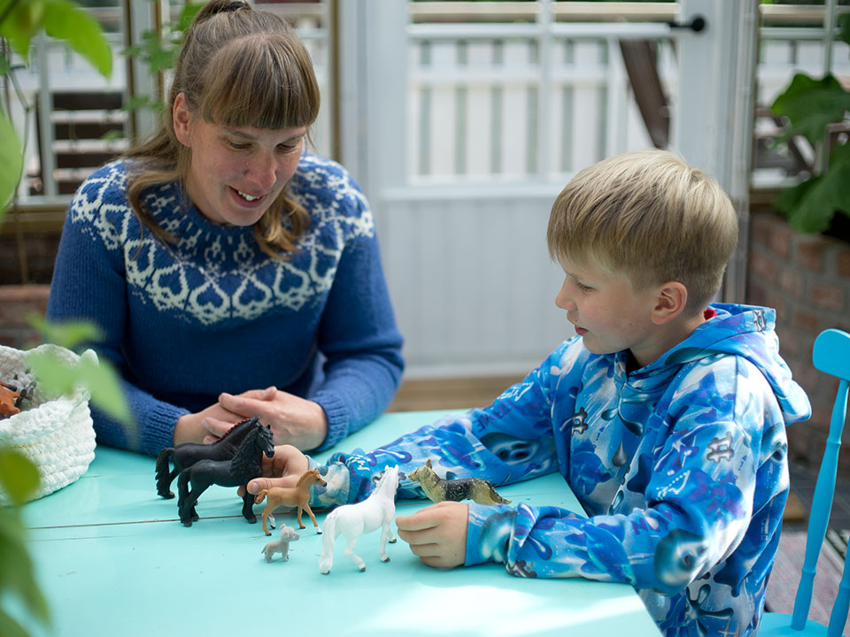 Ratkaisukeskeinen elainavusteinen nepsy valmennus